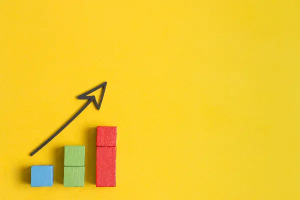 Bestandsaufnahme & Beratung